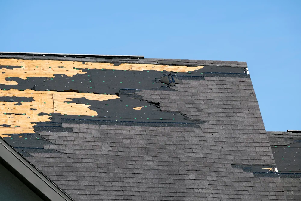 Palm Life Restoration storm damage restoration and repair in the Villages Florida